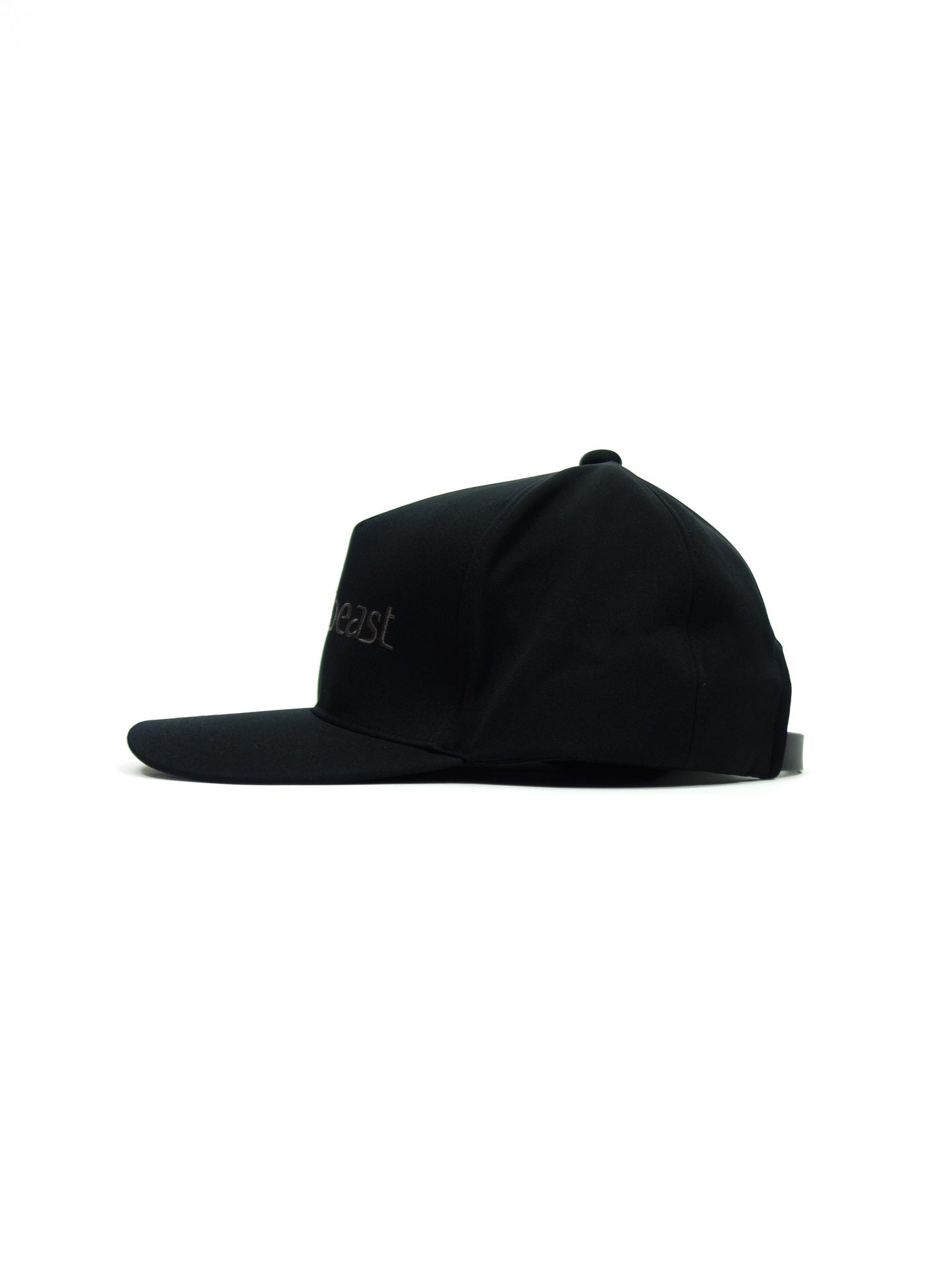beauty:beast(ビューティービースト)5 PANEL CAP ROGO